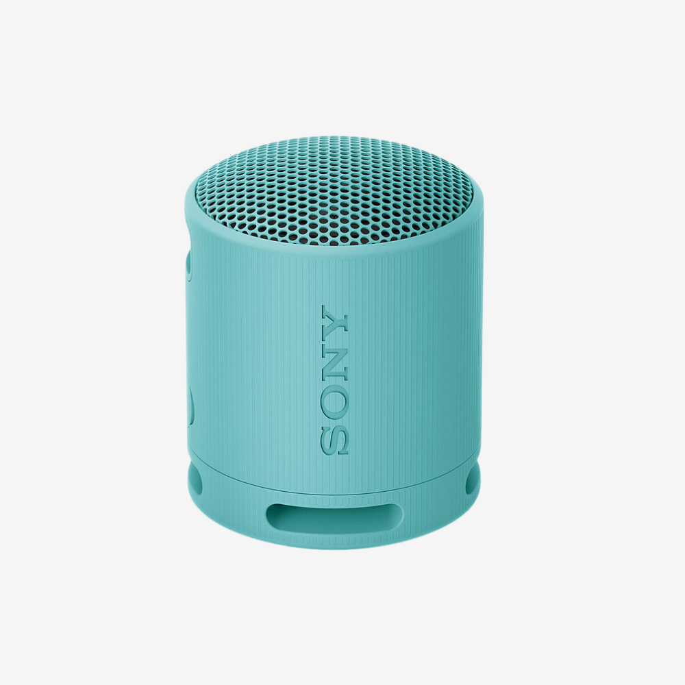 SRS-XB100 Portable Speaker
