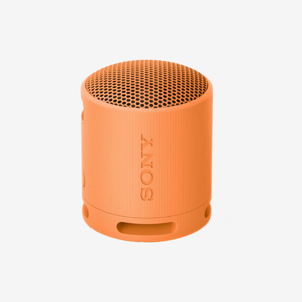 SRS-XB100 Portable Speaker