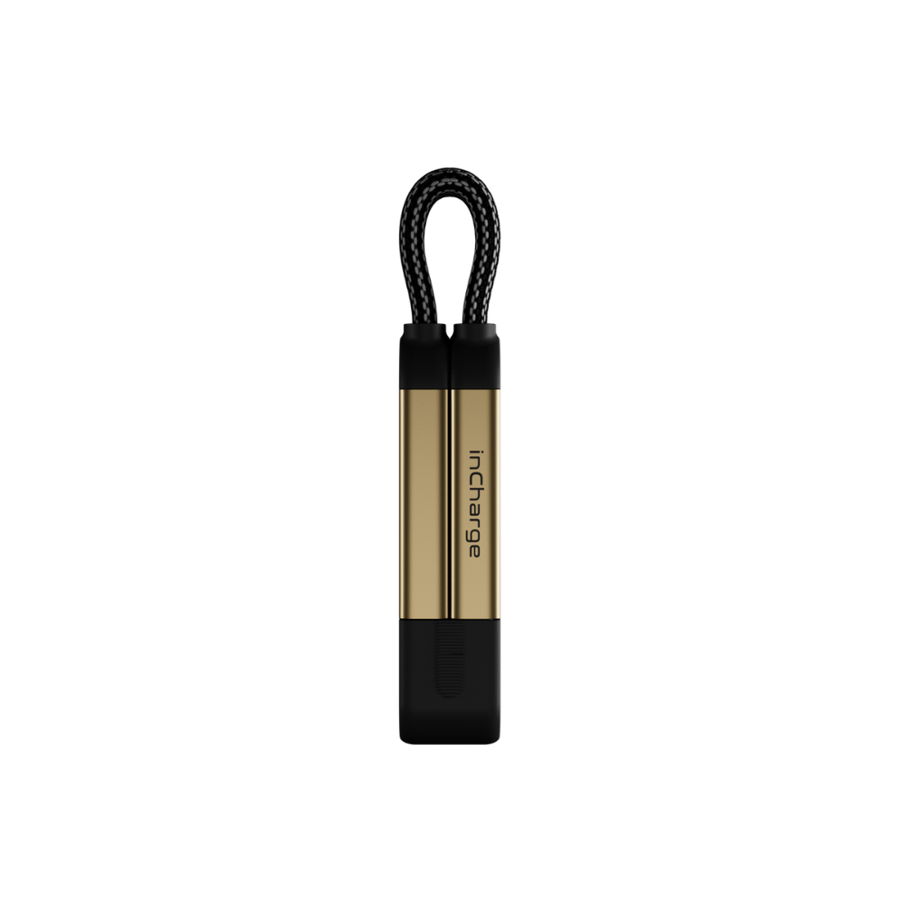 Incharge X Multi Tip 4-in-1 Cable 100W