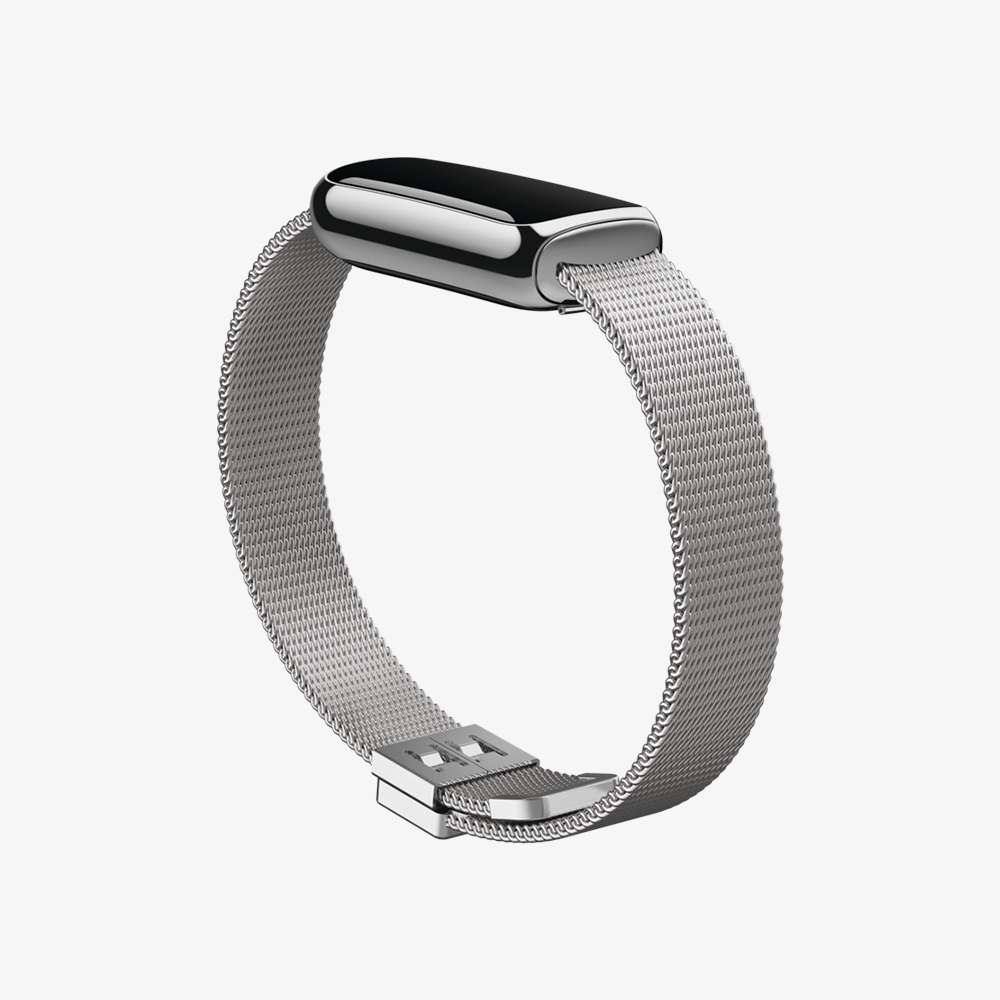 Luxe Stainless Steel Mesh Accessory Band
