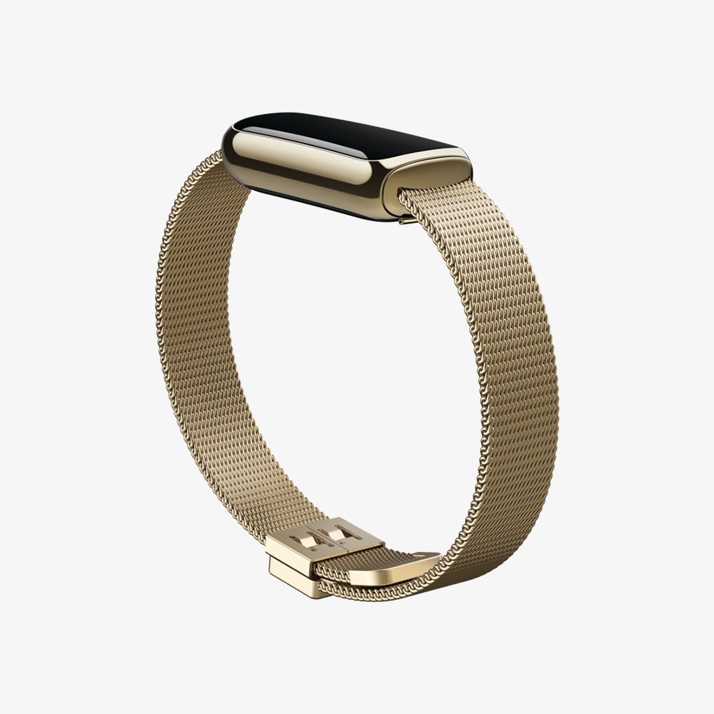 Luxe Stainless Steel Mesh Accessory Band — Digital Walker