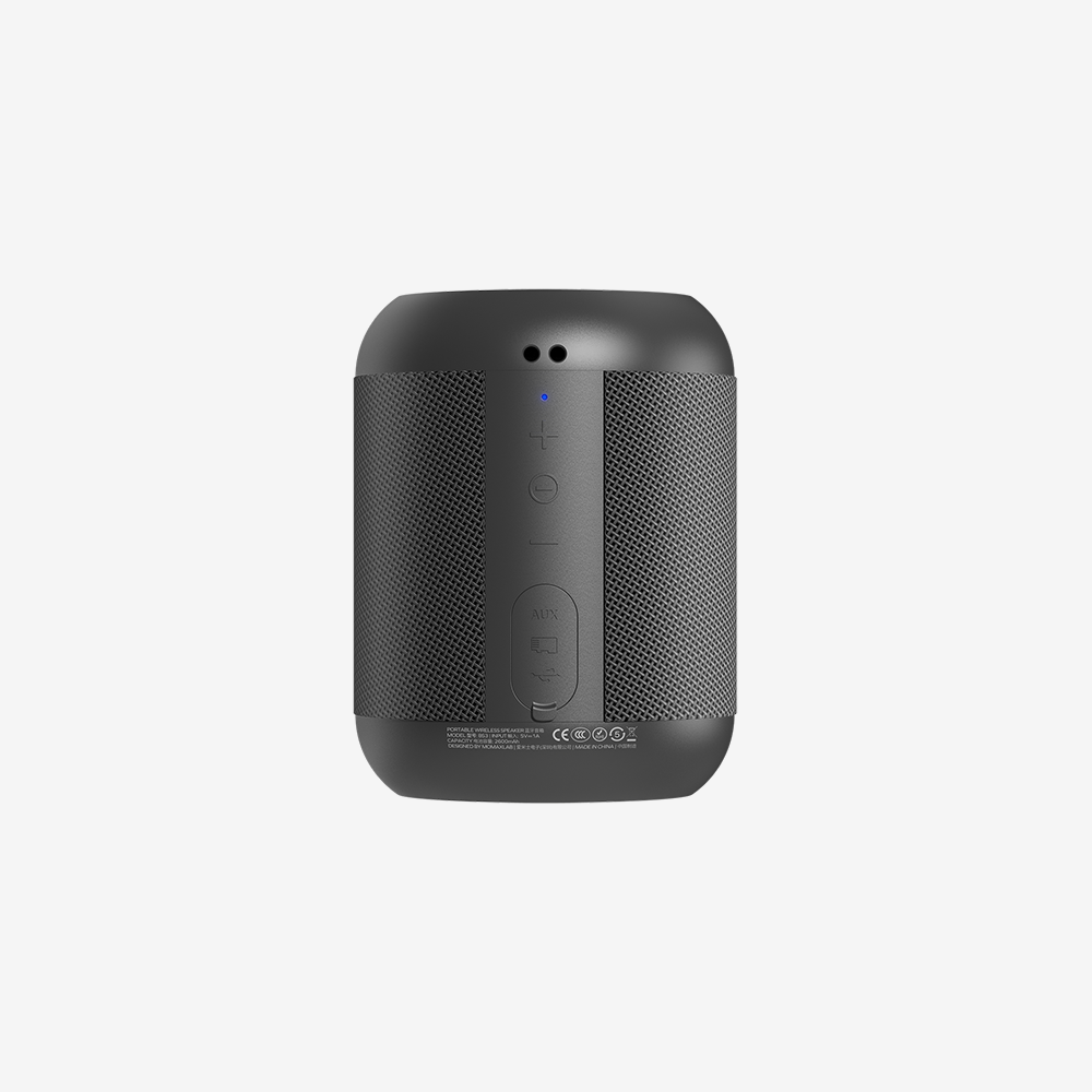 Intune Portable Wireless Speaker — Digital Walker